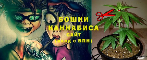 не бодяженный Аркадак