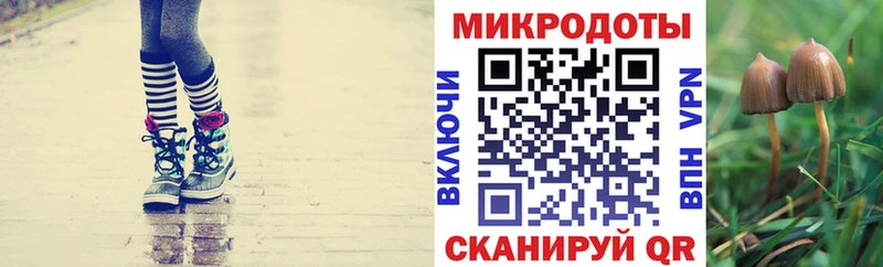 Галлюциногенные грибы MAGIC MUSHROOMS  Лихославль 